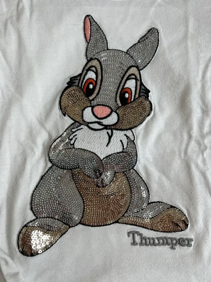 Tee shirt panpan - photo numéro 2