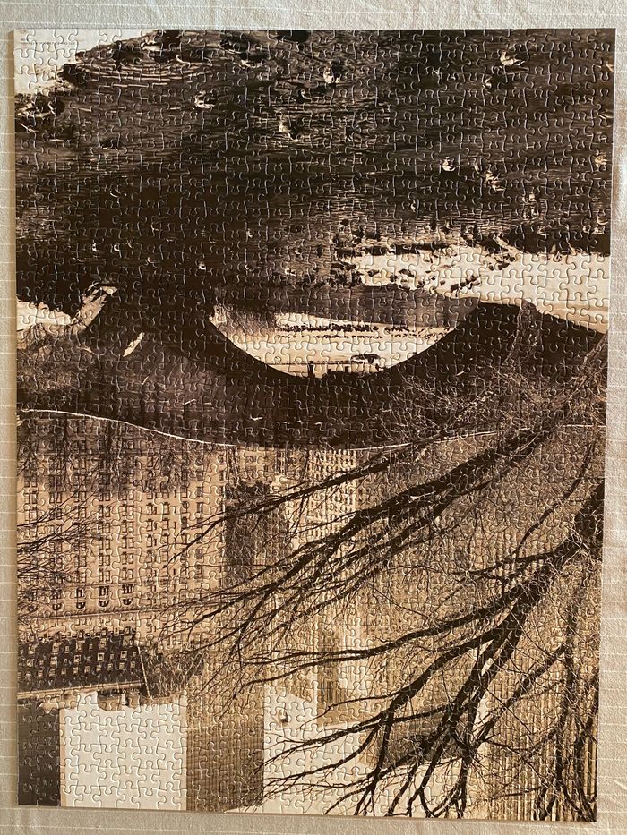 Puzzle 1000 pièces complet - photo numéro 2