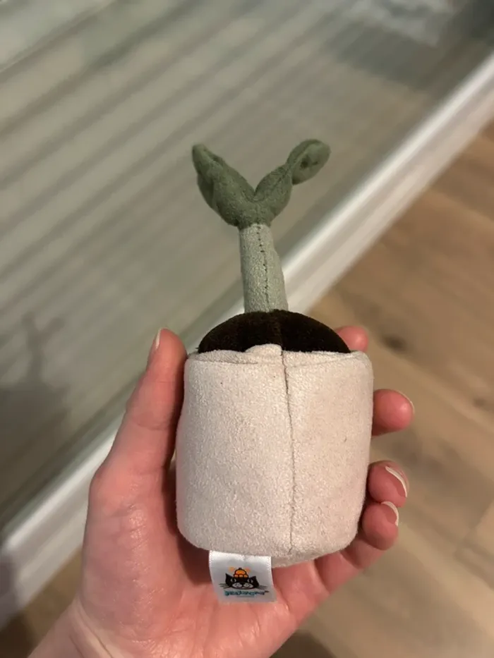 Plante jellycat - photo numéro 2