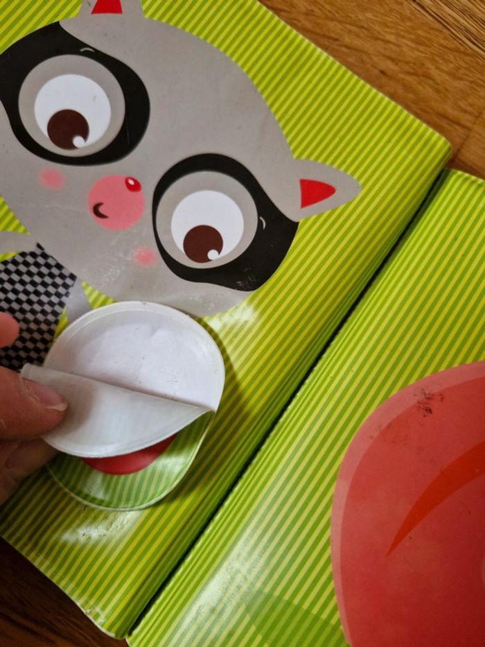 Livre ludi - photo numéro 9