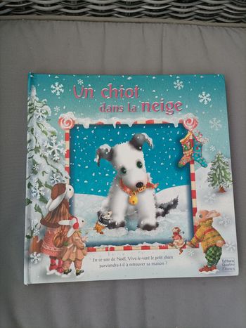 Magnifique livre de Noël 🎄