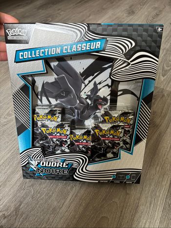 Classeur foudre noire EV10.5