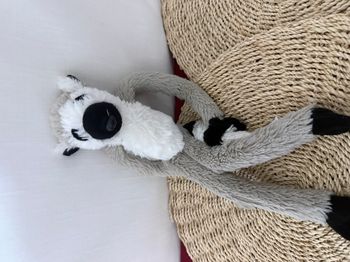 Doudou Peluche PETJES WORLD Lémurien Gris Blanc Noir