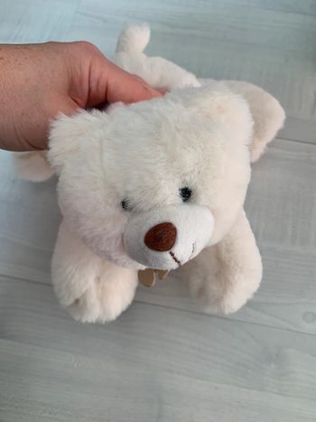 Ours  blanc en peluche