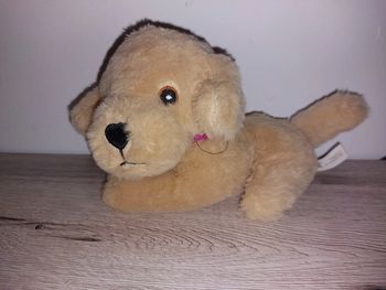 Petite peluche chien