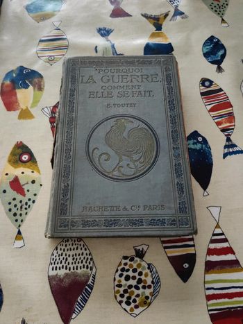 pourquoi la guerre. Comment elle se fait.