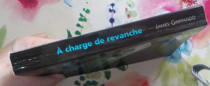 A charge de revanche de James Grippando Ed. France Loisirs - photo numéro 3
