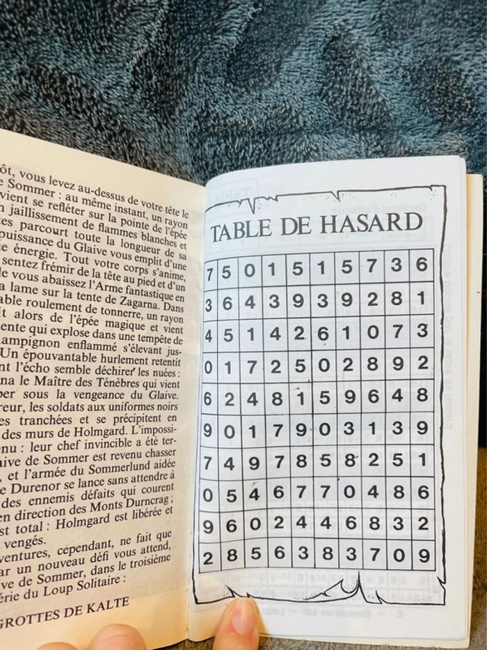 Livre dont vous êtes le héros le loup solitaire la traversée infernale V1 - photo numéro 15