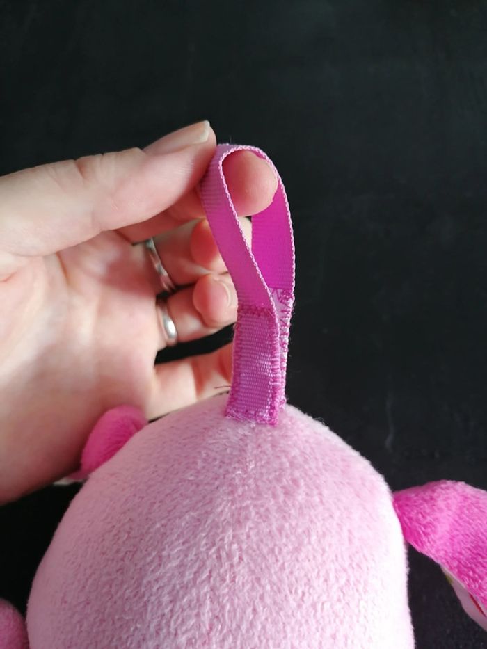 Chant'toutou - photo numéro 4