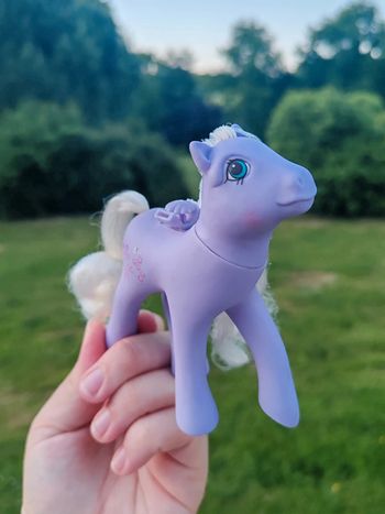 Petit poney g1 - flutter forget-me-not