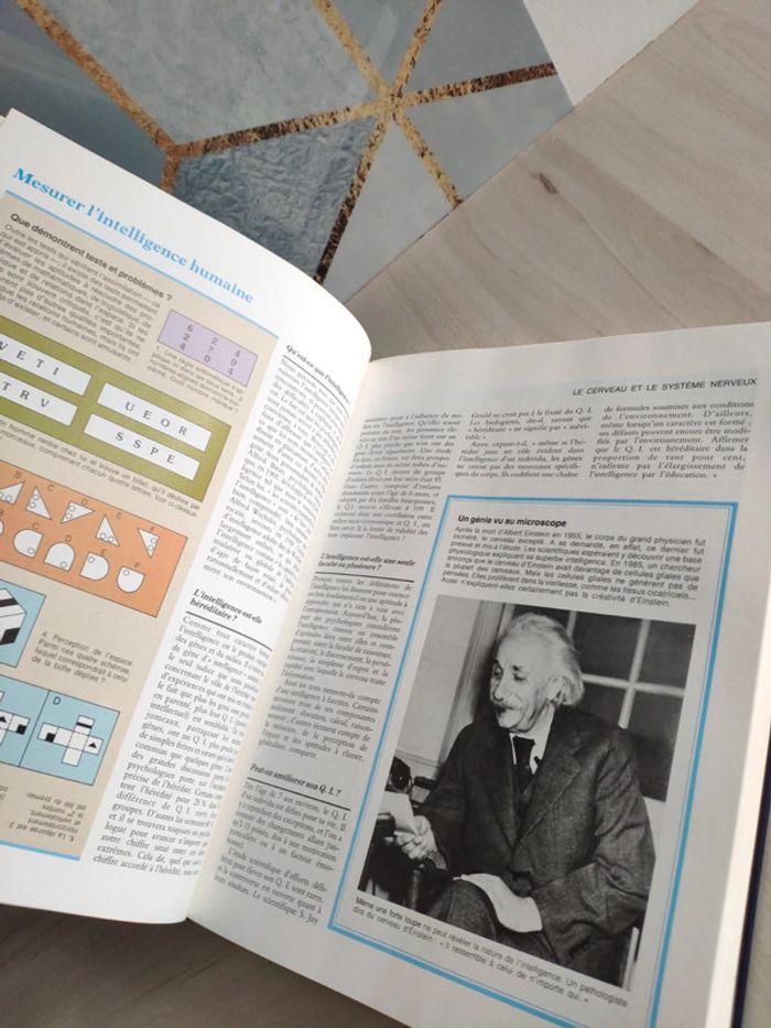 Livre grand format merveilles et secrets du corps humain questions réponses famille - photo numéro 17