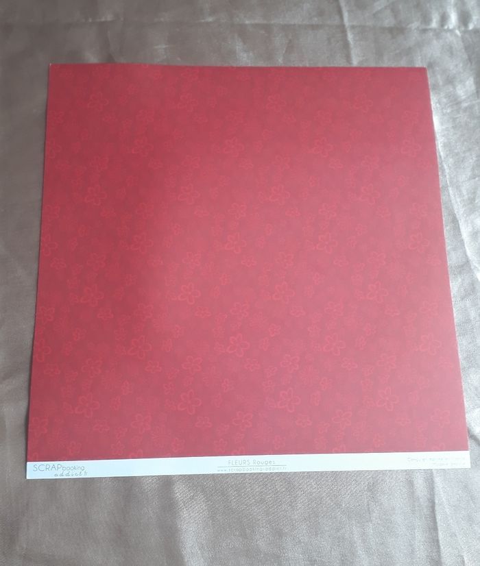 Feuilles scrapbooking / loisirs créatifs - N°1 - photo numéro 3