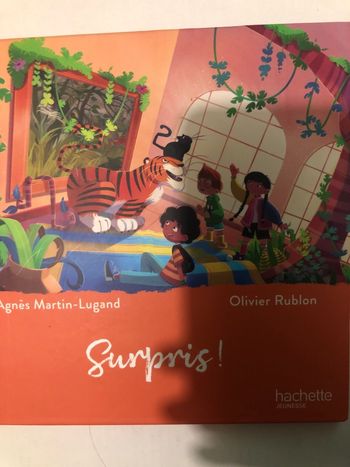 Livre Mac Donalds Surpris