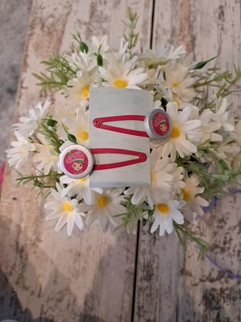 2 barrettes Charlotte aux fraises