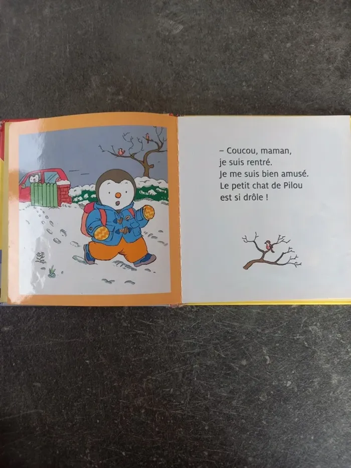 Livre T'choupi veut un chaton - photo numéro 4