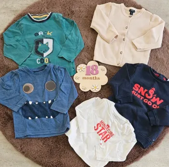 Lot  pull et t-shirt manches longues 18 mois garçon