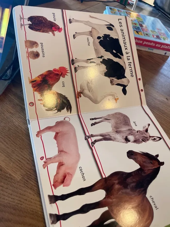 Livre cartonné Regarde et apprends ! La ferme - photo numéro 8