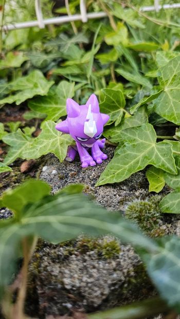 Super figurine Pokemon Nintendo Toxizap