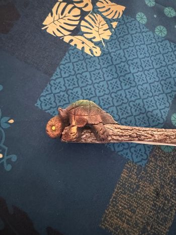 Crayon papier sculptétortue