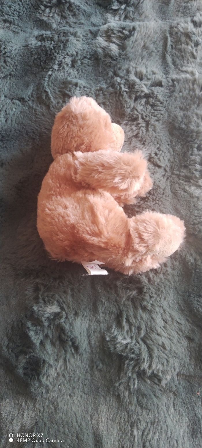Petite peluche ours - photo numéro 3