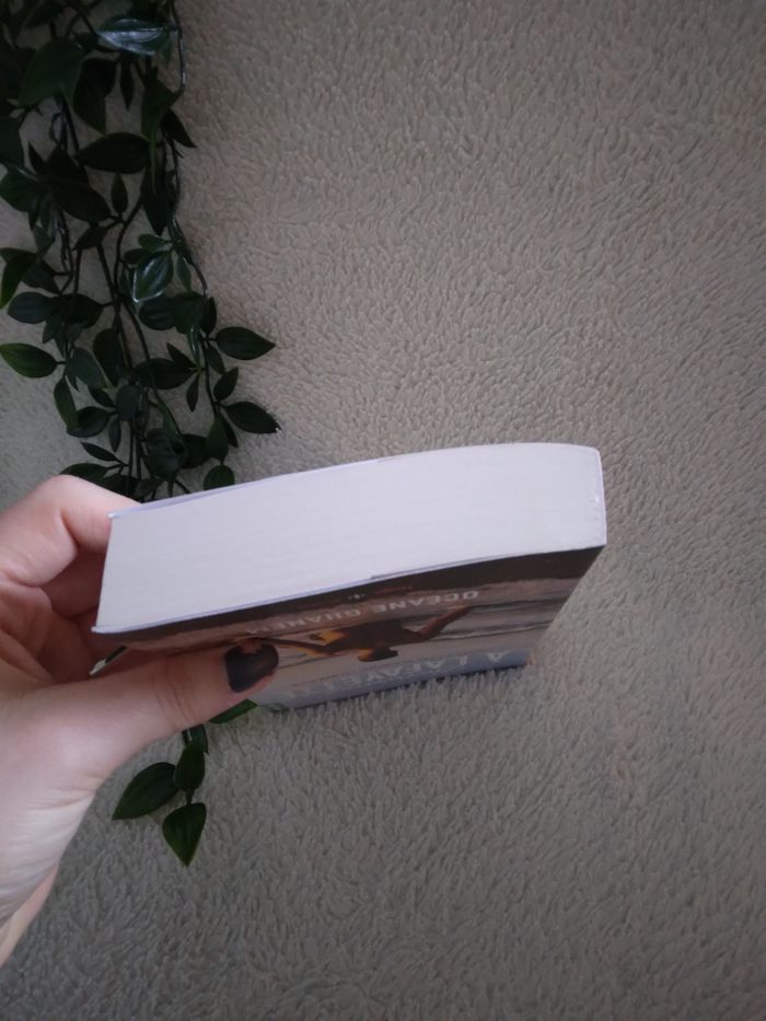 Livre Bienvenue à Lafayette - photo numéro 4