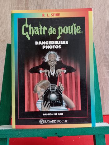 Chair de poule Tome 3 : dangereuses photos