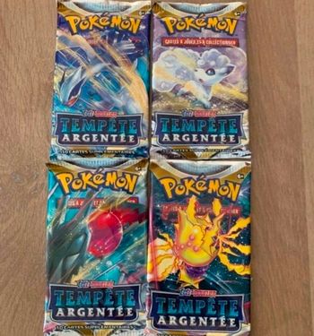 Pokemon artset tempête argenté