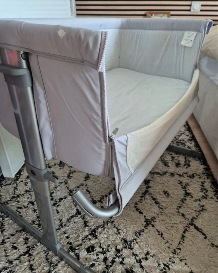 Cododo chicco - photo numéro 4