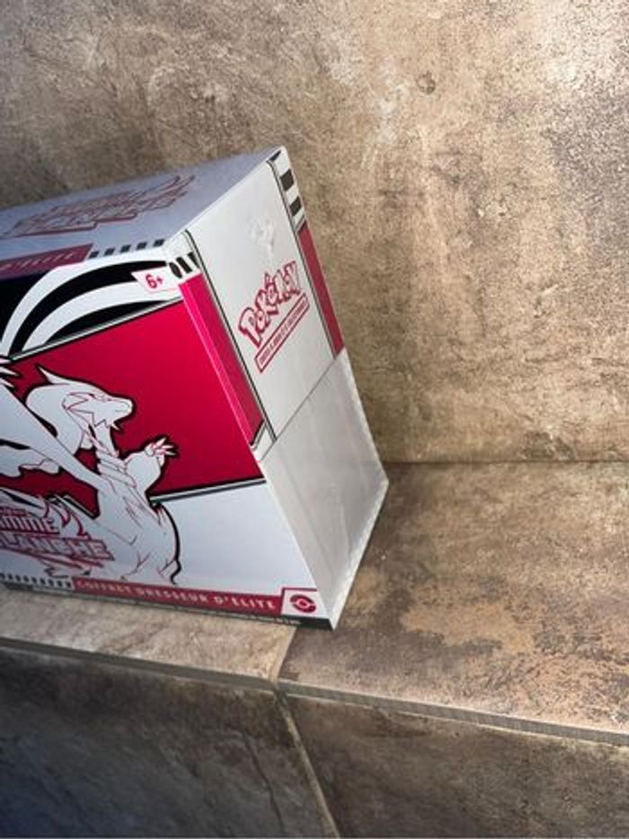 Etb ev 10.5 flamme blanche - photo numéro 4