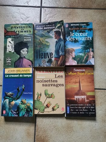 Lot de 6 livres classiques de poche