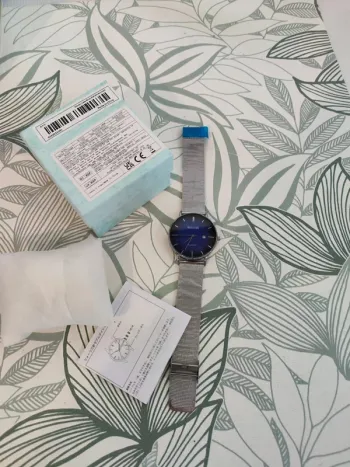 Montre Homme neuve Bélushi cadran 4,5 cm de diamètre bracelet métal