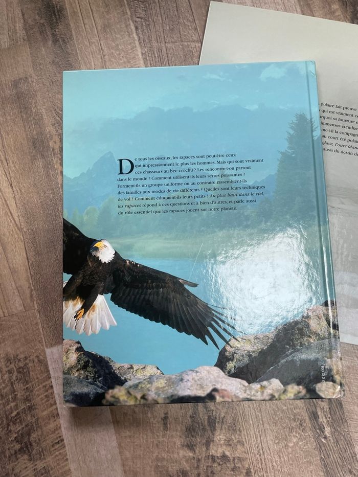 Documentaire rapaces&ours - photo numéro 5