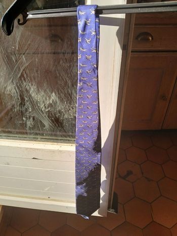 Cravate bleu avec motif pour homme