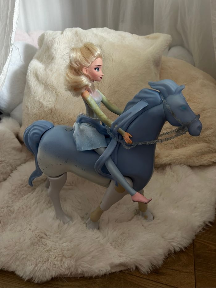 Elsa et son cheval nokk - photo numéro 3