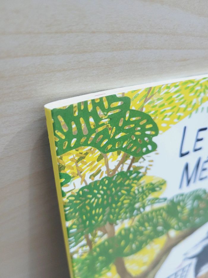 🌺 Livre (école des loisirs) : Le grand ménage - photo numéro 11