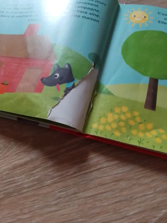 Les trois petits cochons - photo numéro 16