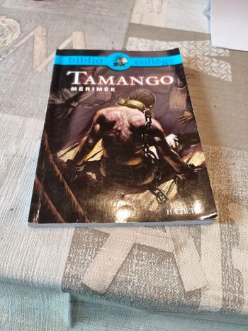 Tamango Prosper Mérimée bibliocollège