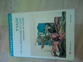 Yvain ou le chevalier au lion