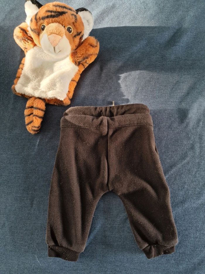 Survêtement - photo numéro 3