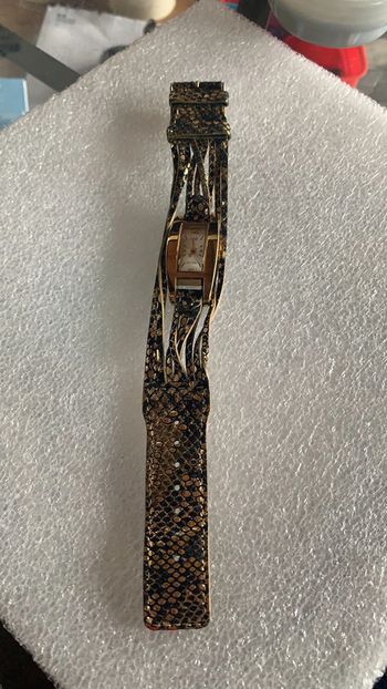 Montre