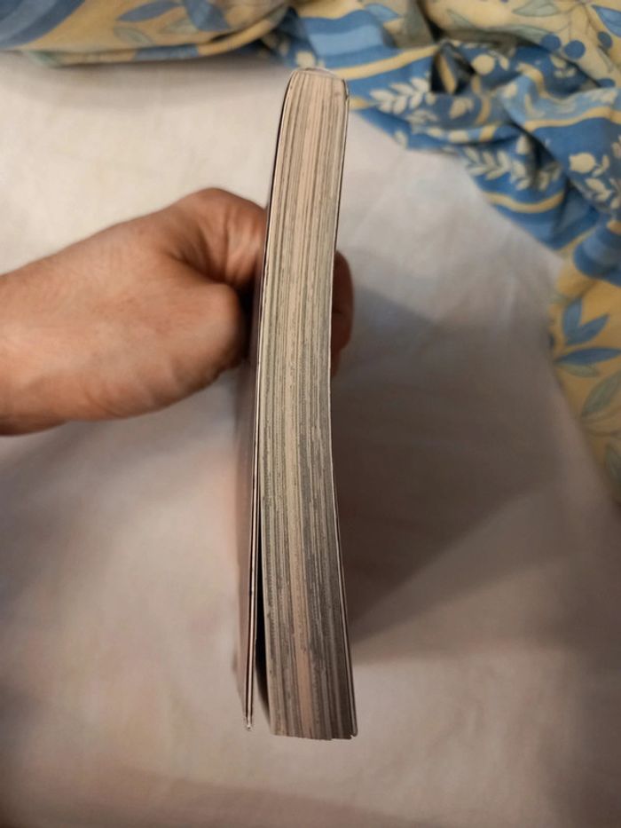 Dusk Maiden of Amnesia tome 1 - photo numéro 4