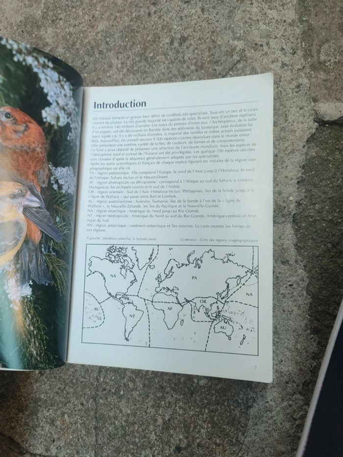 Livre l'univers des oiseaux - photo numéro 9
