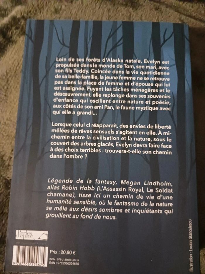 Le Dieu dans l'ombre - Robin Hobb - photo numéro 2