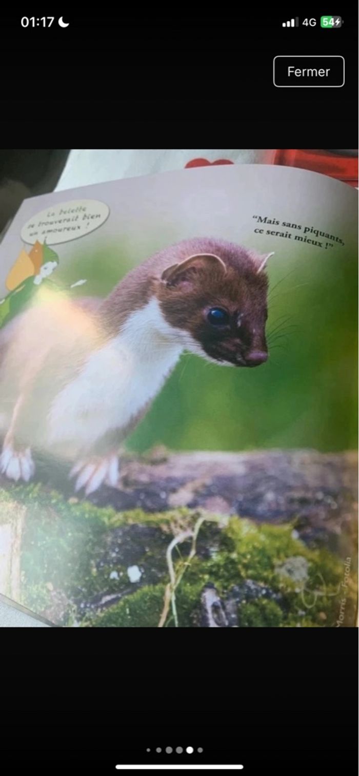 Lot livres pour enfants sur les animaux - photo numéro 5