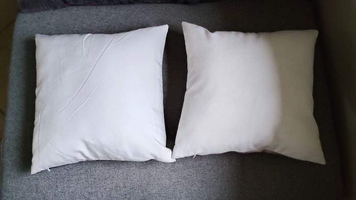 Lot de deux coussins décoratifs animaux - photo numéro 2