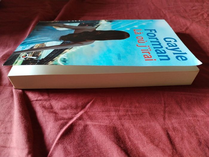 Livre là où j'irai gayle forman - photo numéro 3