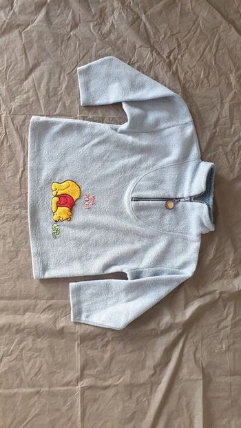 Pull polaire
