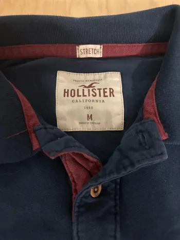 Polo Hollister