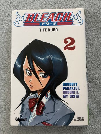 Bleach tome 2