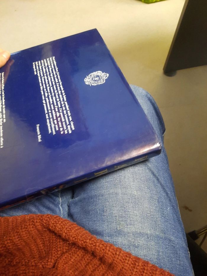 Paris la Seine très gros livre - photo numéro 8